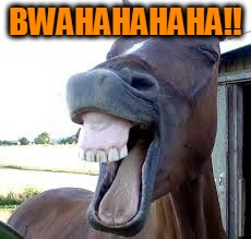 horse laugh | BWAHAHAHAHA!! | image tagged in horse laugh | made w/ Imgflip meme maker