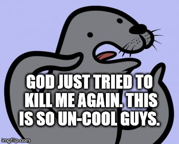 Homophobic Seal Meme | GOD JUST TRIED TO KILL ME AGAIN. THIS IS SO UN-COOL GUYS. | image tagged in memes,homophobic seal | made w/ Imgflip meme maker