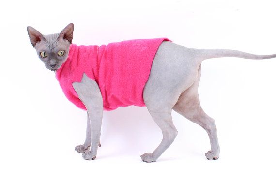 High Quality Pink Shirt Cat Blank Meme Template