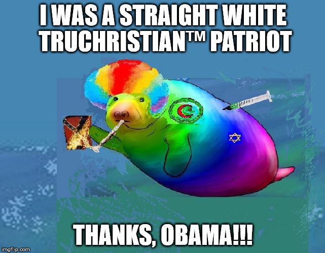 Druggee Gay Manatee | I WAS A STRAIGHT WHITE TRUCHRISTIAN™ PATRIOT; THANKS, OBAMA!!! | image tagged in druggee gay manatee | made w/ Imgflip meme maker