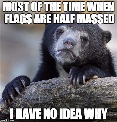 Confession Bear | MOST OF THE TIME WHEN FLAGS ARE HALF MASSED; I HAVE NO IDEA WHY | image tagged in memes,confession bear | made w/ Imgflip meme maker