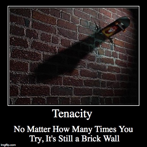 Tenacity | image tagged in funny,demotivationals | made w/ Imgflip demotivational maker