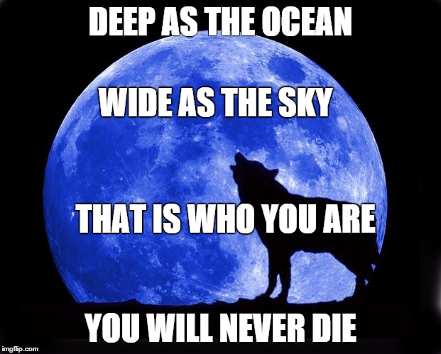 I Am | DEEP AS THE OCEAN; WIDE AS THE SKY; THAT IS WHO YOU ARE; YOU WILL NEVER DIE | image tagged in spirituality | made w/ Imgflip meme maker