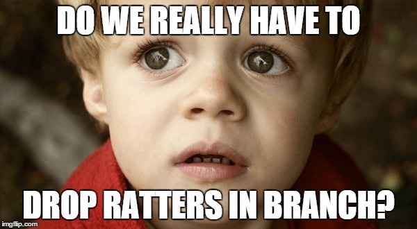 branch drop | DO WE REALLY HAVE TO; DROP RATTERS IN BRANCH? | image tagged in eve online | made w/ Imgflip meme maker