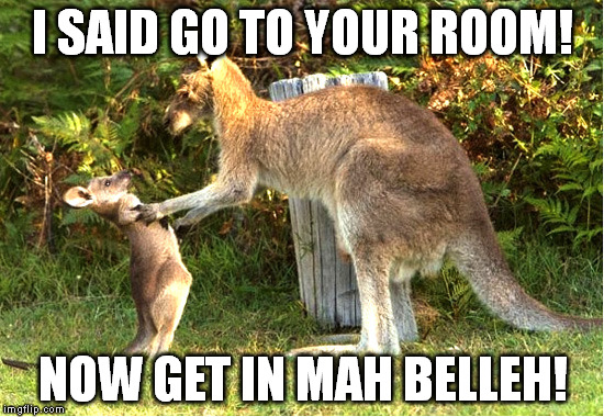 Kangaroo And Baby |  I SAID GO TO YOUR ROOM! NOW GET IN MAH BELLEH! | image tagged in kangaroo,joey,get in my belly | made w/ Imgflip meme maker