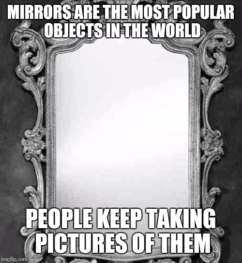 Mirror | MIRRORS ARE THE MOST POPULAR OBJECTS IN THE WORLD; PEOPLE KEEP TAKING PICTURES OF THEM | image tagged in mirror | made w/ Imgflip meme maker