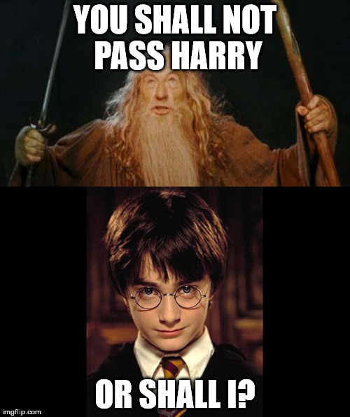 Harry Poter VS. Gandalf | YOU SHALL NOT PASS HARRY; OR SHALL I? | image tagged in gandalf you shall not pass | made w/ Imgflip meme maker