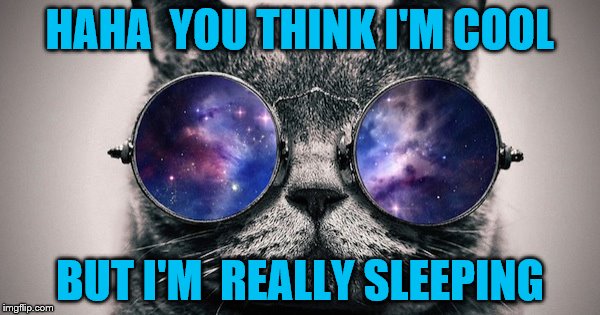 cool cat | HAHA  YOU THINK I'M COOL; BUT I'M  REALLY SLEEPING | image tagged in sleeping | made w/ Imgflip meme maker