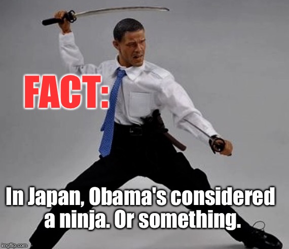 That's Right: Apparently He's Got An Action Figure, Everybody. | FACT:; In Japan, Obama's considered a ninja. Or something. | image tagged in memes,obama,lol | made w/ Imgflip meme maker