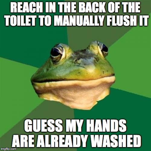 Foul Bachelor Frog Meme | REACH IN THE BACK OF THE TOILET TO MANUALLY FLUSH IT; GUESS MY HANDS ARE ALREADY WASHED | image tagged in memes,foul bachelor frog | made w/ Imgflip meme maker