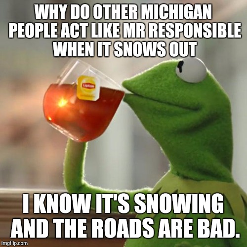 But That's None Of My Business Meme | WHY DO OTHER MICHIGAN PEOPLE ACT LIKE MR RESPONSIBLE WHEN IT SNOWS OUT; I KNOW IT'S SNOWING AND THE ROADS ARE BAD. | image tagged in memes,but thats none of my business,kermit the frog | made w/ Imgflip meme maker
