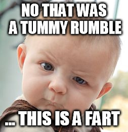 Skeptical Baby | NO THAT WAS A TUMMY RUMBLE; ... THIS IS A FART | image tagged in memes,skeptical baby | made w/ Imgflip meme maker