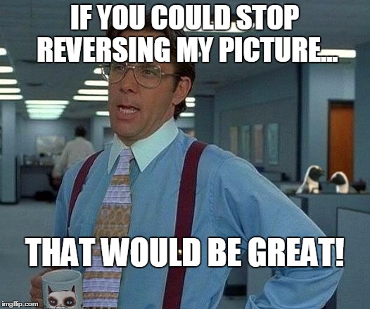 That Would Be Great (reversed) | IF YOU COULD STOP REVERSING MY PICTURE... THAT WOULD BE GREAT! | image tagged in that would be great reversed,memes,that would be great | made w/ Imgflip meme maker