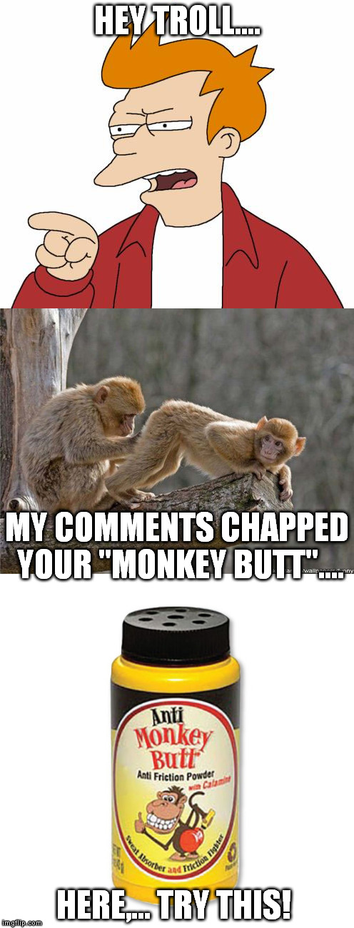 I have a cure... | HEY TROLL.... MY COMMENTS CHAPPED YOUR "MONKEY BUTT".... HERE,... TRY THIS! | image tagged in futurama fry | made w/ Imgflip meme maker