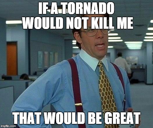 That Would Be Great | IF A TORNADO WOULD NOT KILL ME; THAT WOULD BE GREAT | image tagged in memes,that would be great | made w/ Imgflip meme maker