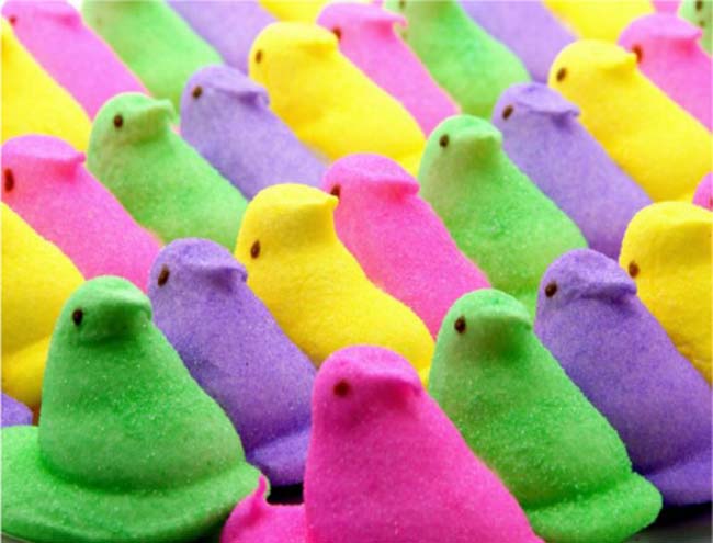 peeps Blank Meme Template