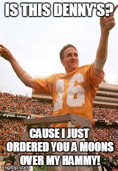 Peyton just loves Denny's | IS THIS DENNY'S? CAUSE I JUST ORDERED YOU A MOONS OVER MY HAMMY! | image tagged in nfl,peyton manning | made w/ Imgflip meme maker