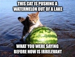 The internet in a watermelonshell. | THIS CAT IS PUSHING A WATERMELON OUT OF A LAKE; WHAT YOU WERE SAYING BEFORE NOW IS IRRELEVANT | image tagged in funny,cat,watermelon,lake,weird,funny cat memes | made w/ Imgflip meme maker