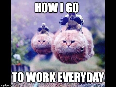 Me everyday | HOW I GO; TO WORK EVERYDAY | image tagged in cats,star wars | made w/ Imgflip meme maker