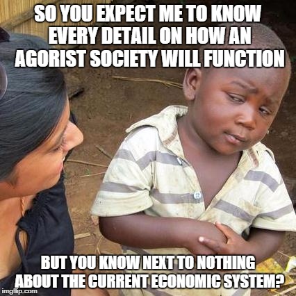 Third World Skeptical Kid Meme | SO YOU EXPECT ME TO KNOW EVERY DETAIL ON HOW AN AGORIST SOCIETY WILL FUNCTION; BUT YOU KNOW NEXT TO NOTHING ABOUT THE CURRENT ECONOMIC SYSTEM? | image tagged in memes,third world skeptical kid | made w/ Imgflip meme maker