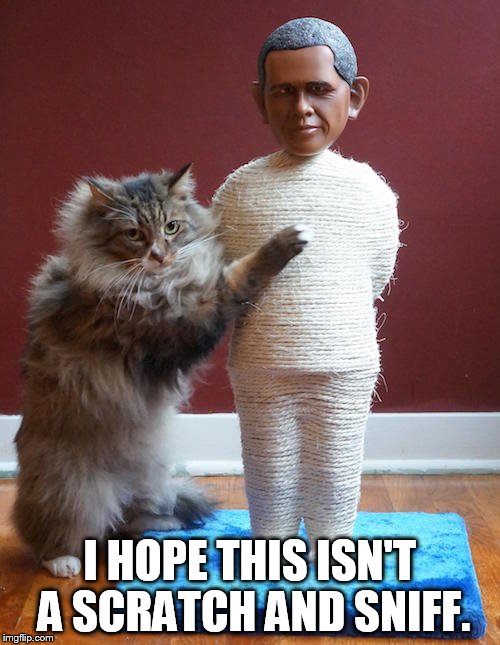 I HOPE THIS ISN'T A SCRATCH AND SNIFF. | image tagged in scratching post obama | made w/ Imgflip meme maker