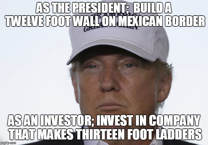 AS THE PRESIDENT;  BUILD A TWELVE FOOT WALL ON MEXICAN BORDER; AS AN INVESTOR; INVEST IN COMPANY THAT MAKES THIRTEEN FOOT LADDERS | image tagged in don | made w/ Imgflip meme maker