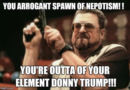Am I The Only One Around Here | YOU ARROGANT SPAWN OF NEPOTISM! ! YOU'RE OUTTA OF YOUR ELEMENT DONNY TRUMP!!! | image tagged in memes,am i the only one around here | made w/ Imgflip meme maker