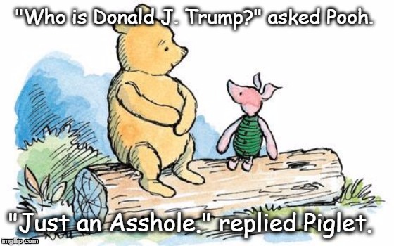 winnie the pooh and piglet | "Who is Donald J. Trump?" asked Pooh. "Just an Asshole." replied Piglet. | image tagged in winnie the pooh and piglet | made w/ Imgflip meme maker
