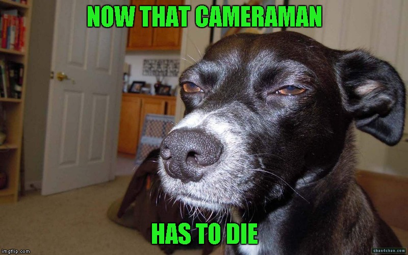 NOW THAT CAMERAMAN HAS TO DIE | made w/ Imgflip meme maker