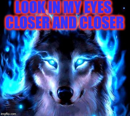 The more you look the more you see your lies | LOOK IN MY EYES CLOSER AND CLOSER | image tagged in wolf,insanity wolf,lightning,blue fire,hippie | made w/ Imgflip meme maker
