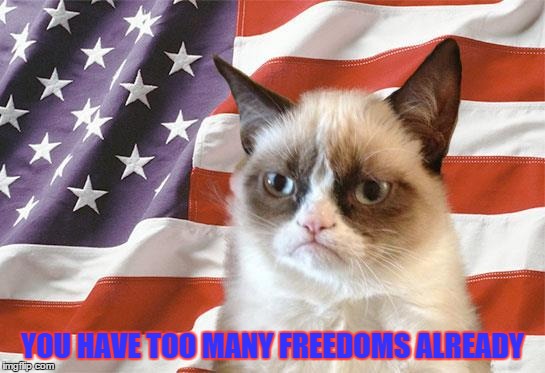 YOU HAVE TOO MANY FREEDOMS ALREADY | made w/ Imgflip meme maker