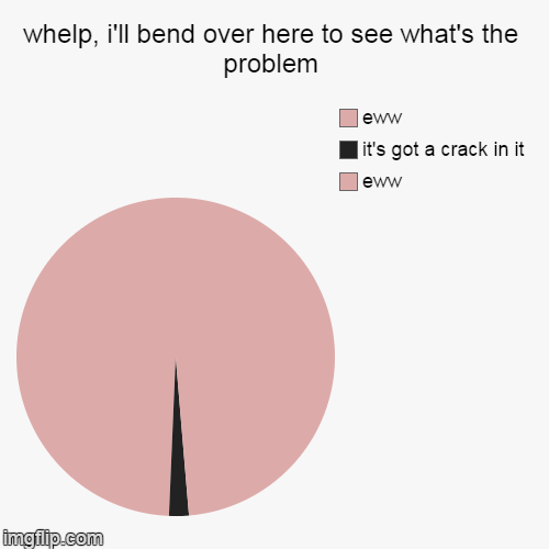 image tagged in funny,pie charts,memes | made w/ Imgflip chart maker