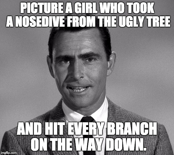 Rod Serling | PICTURE A GIRL WHO TOOK A NOSEDIVE FROM THE UGLY TREE; AND HIT EVERY BRANCH ON THE WAY DOWN. | image tagged in overly attached girlfriend | made w/ Imgflip meme maker