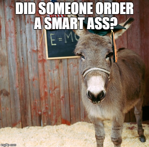 DID SOMEONE ORDER A SMART ASS? | made w/ Imgflip meme maker