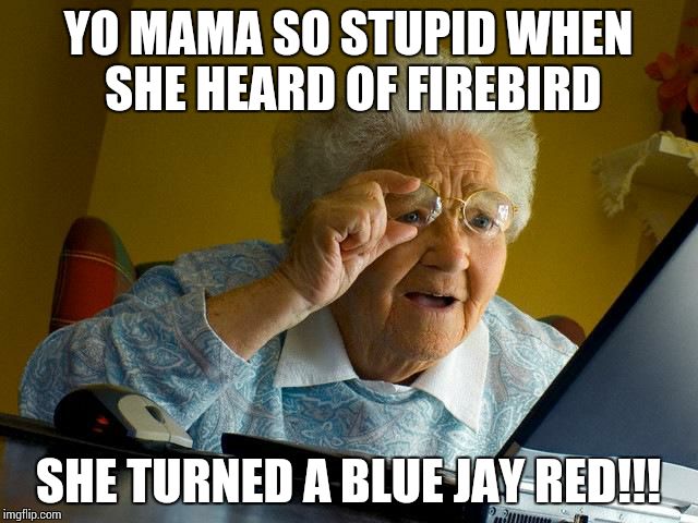 Grandma Finds The Internet Meme | YO MAMA SO STUPID WHEN SHE HEARD OF FIREBIRD; SHE TURNED A BLUE JAY RED!!! | image tagged in memes,grandma finds the internet | made w/ Imgflip meme maker