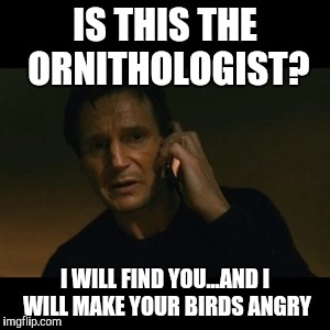 How It All Began | IS THIS THE ORNITHOLOGIST? I WILL FIND YOU...AND I WILL MAKE YOUR BIRDS ANGRY | image tagged in memes,liam neeson taken,angry birds | made w/ Imgflip meme maker