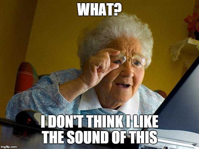 Grandma Finds The Internet Meme | WHAT? I DON'T THINK I LIKE THE SOUND OF THIS | image tagged in memes,grandma finds the internet | made w/ Imgflip meme maker