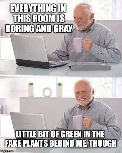 Harold gray room | EVERYTHING IN THIS ROOM IS BORING AND GRAY; LITTLE BIT OF GREEN IN THE FAKE PLANTS BEHIND ME, THOUGH | image tagged in memes,hide the pain harold,gray,stay positive | made w/ Imgflip meme maker