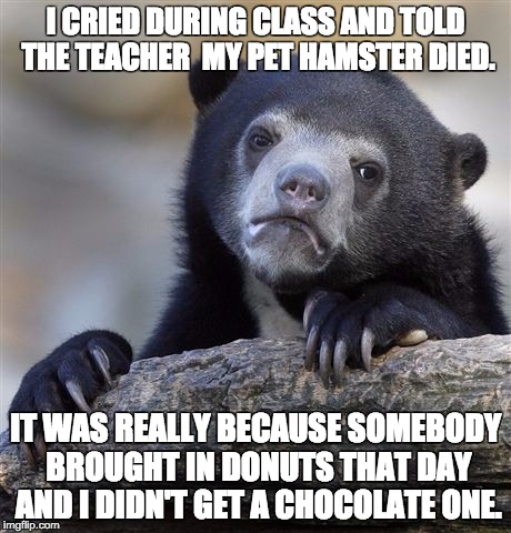 Confession Bear | I CRIED DURING CLASS AND TOLD THE TEACHER  MY PET HAMSTER DIED. IT WAS REALLY BECAUSE SOMEBODY BROUGHT IN DONUTS THAT DAY AND I DIDN'T GET A CHOCOLATE ONE. | image tagged in memes,confession bear | made w/ Imgflip meme maker