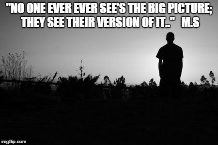 The Big Picture | "NO ONE EVER EVER SEE'S THE BIG PICTURE; THEY SEE THEIR VERSION OF IT.."   M.S | image tagged in future,meme,big picture,picture | made w/ Imgflip meme maker