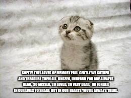Sad Cat Meme | SOFTLY THE LEAVES OF MEMORY FALL

GENTLY WE GATHER AND TREASURE THEM ALL

UNSEEN, UNHEARD YOU ARE ALWAYS NEAR,

SO MISSED, SO LOVED, SO VERY DEAR.

NO LONGER IN OUR LIVES TO SHARE

BUT IN OUR HEARTS YOU’RE ALWAYS THERE. | image tagged in memes,sad cat | made w/ Imgflip meme maker