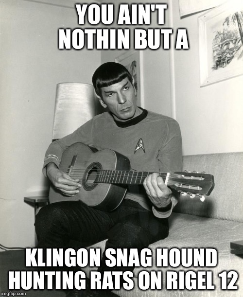 Spock on Guitar | YOU AIN'T NOTHIN BUT A; KLINGON SNAG HOUND HUNTING RATS ON RIGEL 12 | image tagged in spock on guitar | made w/ Imgflip meme maker