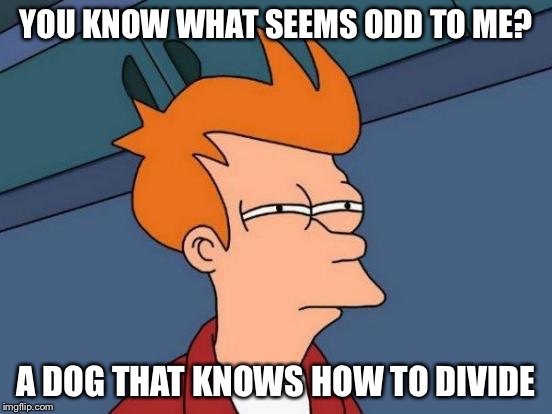 Futurama Fry Meme | YOU KNOW WHAT SEEMS ODD TO ME? A DOG THAT KNOWS HOW TO DIVIDE | image tagged in memes,futurama fry | made w/ Imgflip meme maker