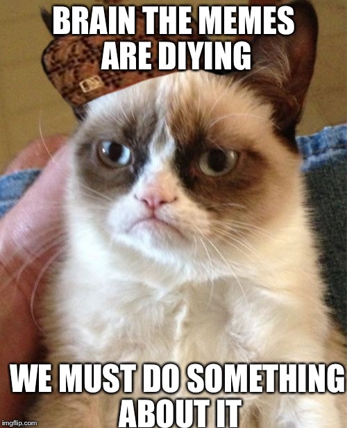 Memes are diying but do we care? We meme on together | BRAIN THE MEMES ARE DIYING; WE MUST DO SOMETHING ABOUT IT | image tagged in memes,grumpy cat,scumbag | made w/ Imgflip meme maker