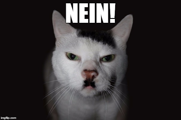 hitler cat | NEIN! | image tagged in hitler cat | made w/ Imgflip meme maker