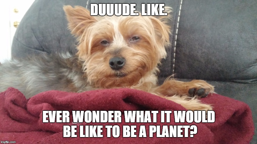 DUUUDE. LIKE. EVER WONDER WHAT IT WOULD BE LIKE TO BE A PLANET? | made w/ Imgflip meme maker