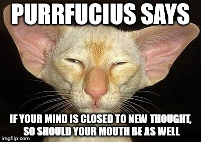Purrfucius Says | PURRFUCIUS SAYS; IF YOUR MIND IS CLOSED TO NEW THOUGHT, SO SHOULD YOUR MOUTH BE AS WELL | image tagged in purrfucius says,wise thought,mouth,thought | made w/ Imgflip meme maker