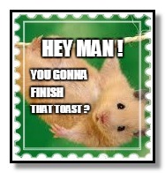HEY MAN ! YOU GONNA; FINISH; THAT TOAST ? | image tagged in hanginthere | made w/ Imgflip meme maker