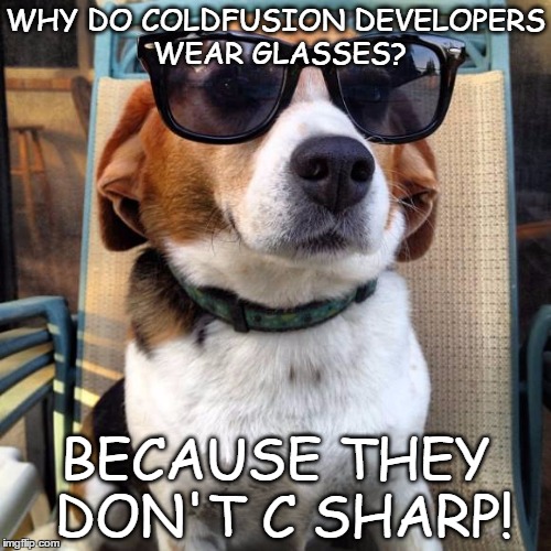 beagle sunglasses | WHY DO COLDFUSION DEVELOPERS WEAR GLASSES? BECAUSE THEY DON'T C SHARP! | image tagged in beagle sunglasses | made w/ Imgflip meme maker