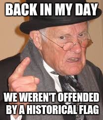 Back In My Day | BACK IN MY DAY; WE WEREN'T OFFENDED BY A HISTORICAL FLAG | image tagged in back in my day,memes,success kid,america,confederate flag | made w/ Imgflip meme maker